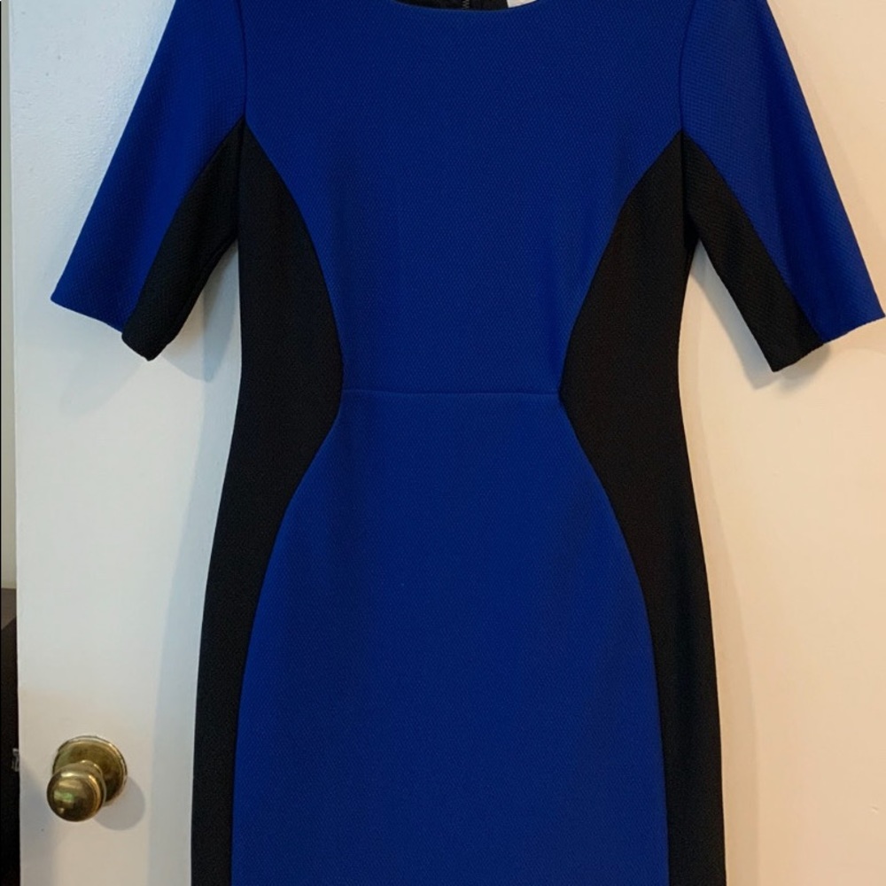 Bison Bisou Figure Flattering Dress Size 10